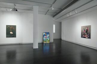 The End of Flutter Valley, installation view