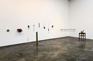 Shirley Tse: Vital Organs & Other Stories, installation view