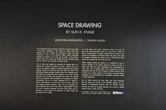 Space Drawing by Sun K. Kwak, installation view