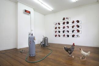 The Cosmopolitan Chicken Project - Domestication by Koen Vanmechelen, installation view
