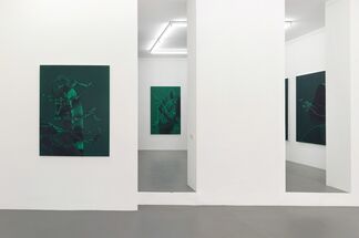 Daniel Lergon | MULTIMONO, installation view