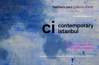 Barbara Paci Art Gallery at Contemporary Istanbul 2013, installation view