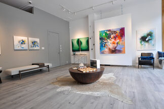 Dreaming in color, installation view