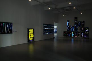 The Swimmers, installation view