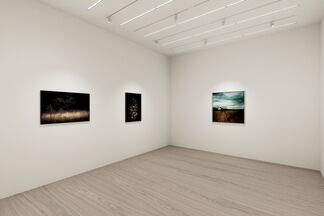 MMX Gallery  at Photo London 2020, installation view
