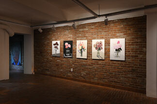 You must believe in spring, installation view