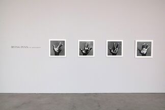 Irving Penn: On Assignment, installation view