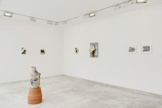 A.K. Burns - Any Means, installation view
