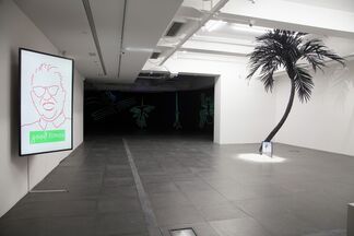 Diary of a Pioneer, installation view