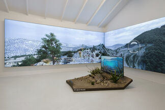 Timur Si-Qin - "A Place Like This", installation view