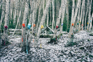 Winter wonderland - Collective TPA, installation view