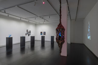 Absence of Myth, installation view