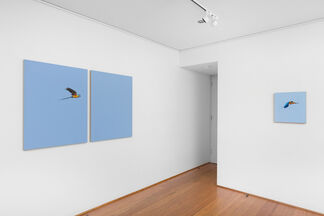 Matthew Kentmann | Blue & Gold, installation view