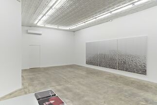 Rudolf Stingel: Part IV, installation view