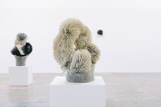 Zemer Peled - Nomad, installation view