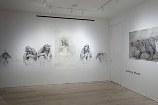 Adonna Khare, installation view