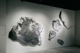 c/discoveries: Turn Of The Sun by Aeropalmics, installation view