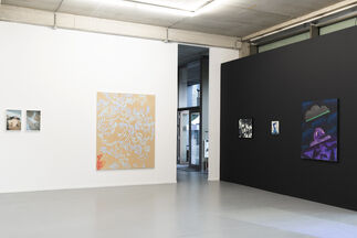 L'Heure Bleue, installation view