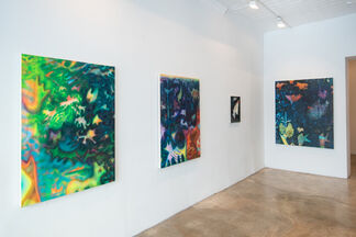 Catherine Haggarty: An Echo's Glyph, installation view