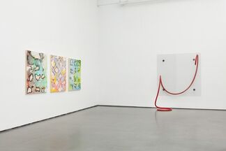 Within cells interlinked, installation view