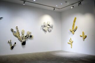 Kana Kou ( Kana Yoshida) solo exhibition : Cosmic Cactus, installation view