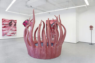 Tides in the Body, installation view