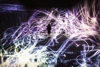 teamLab: Living Digital Forest and Future Park, installation view