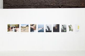 A Great Sum (In Parts), installation view