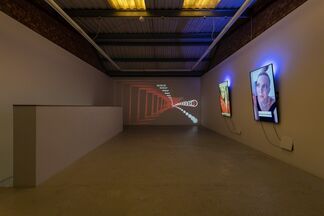 Signe Pierce 'Digital Streams of an Uploadable Consciousness : Stories 2016-2019', installation view