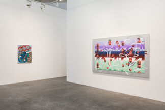 Soft Borders, installation view