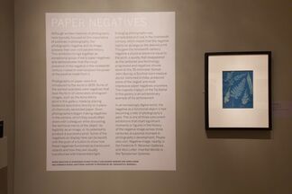 Paper Negatives | Negative Image, installation view