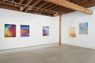 TERRI LOEWENTHAL: Psychscapes, installation view