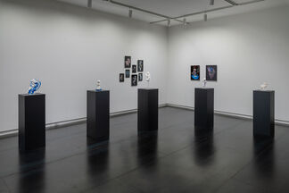 Absence of Myth, installation view