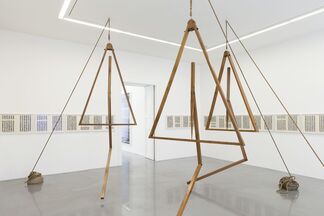 Bharti Kher - The Laws of Reversed Effort, installation view