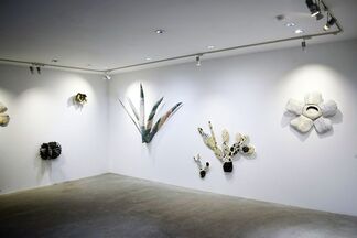 Kana Kou ( Kana Yoshida) solo exhibition : Cosmic Cactus, installation view