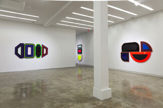 Beverly Fishman: CHEMICAL SUBLIME, installation view