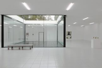Richard Aldrich - MDD, installation view