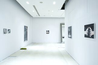 Realities in the Making, installation view