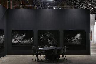 Tolarno Galleries at Sydney Contemporary 2019, installation view