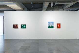 Cui Xinming - Differentiation, installation view