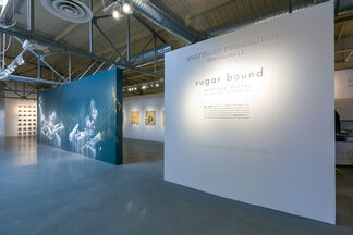 sugar bound :: Suchitra Mattai, installation view