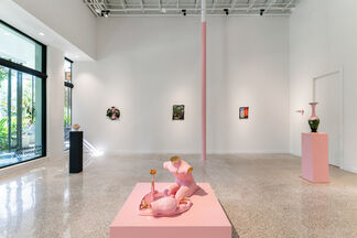 Alex Anderson: The Gazing Pool, installation view