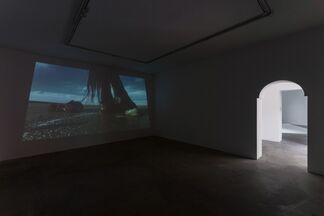 The Purity of a Horse, installation view