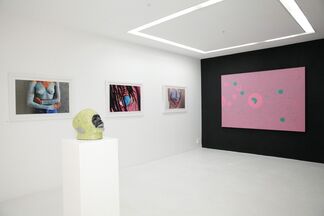The Motherboard, installation view