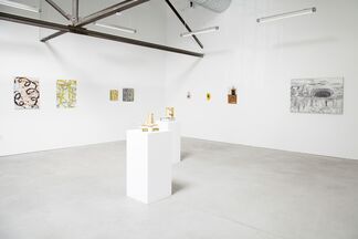 Order & Nature, installation view