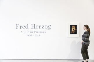 Fred Herzog: A Life in Pictures, installation view