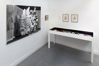 Franciszka Themerson & Ubu, installation view