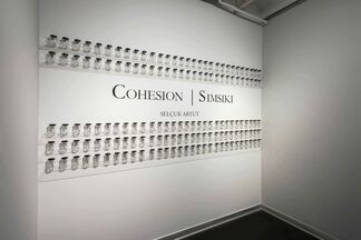 Cohesion, installation view