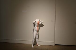Bodies + Beings, installation view