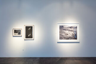 LESS IS MORE / The Spring Show, installation view